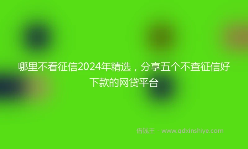 哪里不看征信2024年精选，分享五个不查征信好下款的网贷平台