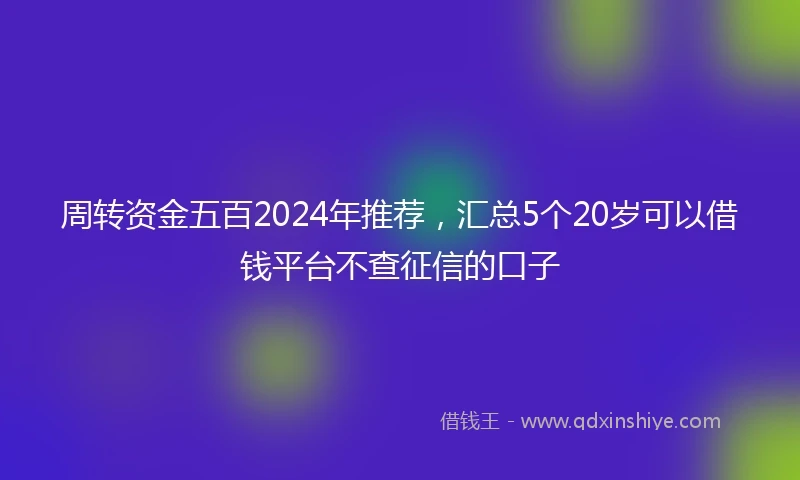 周转资金五百2024年推荐，汇总5个20岁可以借钱平台不查征信的口子