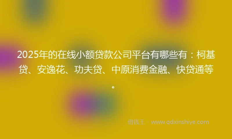 2025年的在线小额贷款公司平台有哪些有：柯基贷、安逸花、功夫贷、中原消费金融、快贷通等。