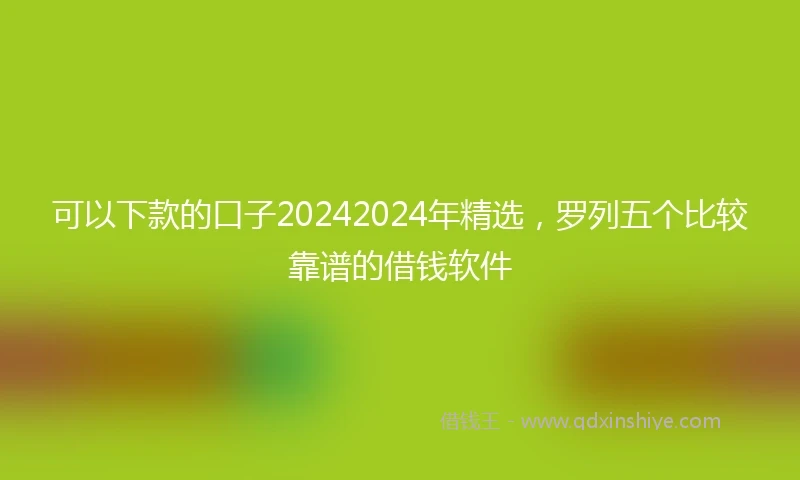 可以下款的口子20242024年精选，罗列五个比较靠谱的借钱软件
