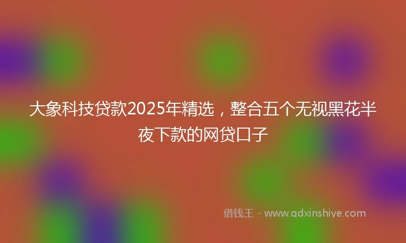 大象科技贷款2025年精选，整合五个无视黑花半夜下款的网贷口子