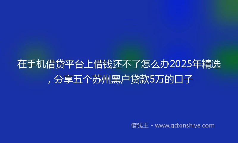在手机借贷平台上借钱还不了怎么办2025年精选，分享五个苏州黑户贷款5万的口子