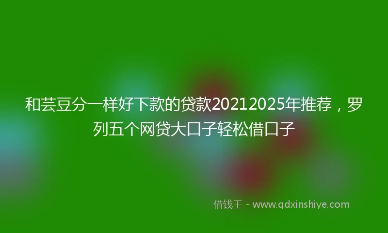 和芸豆分一样好下款的贷款20212025年推荐，罗列五个网贷大口子轻松借口子