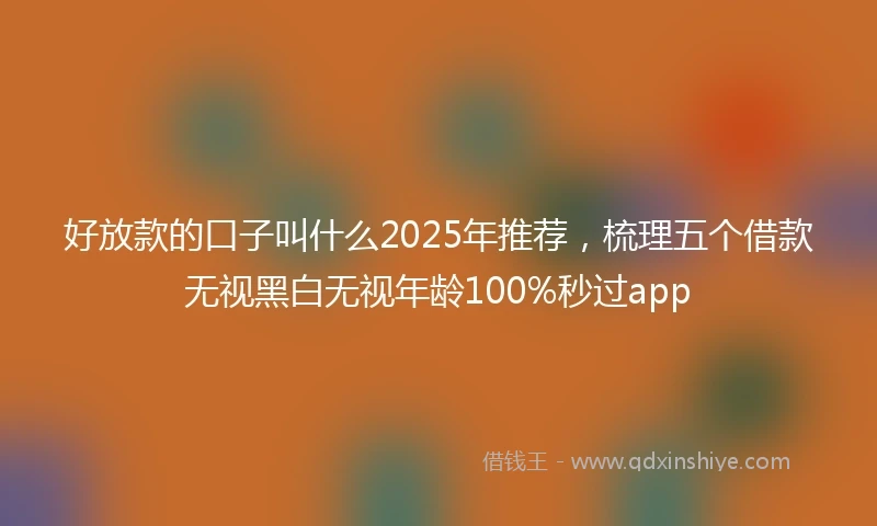好放款的口子叫什么2025年推荐，梳理五个借款无视黑白无视年龄100%秒过app