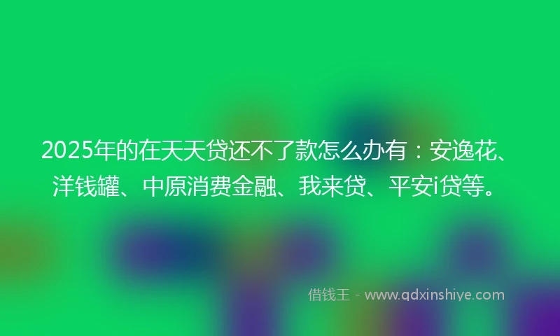 2025年的在天天贷还不了款怎么办有：安逸花、洋钱罐、中原消费金融、我来贷、平安i贷等。
