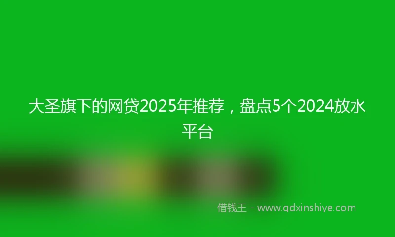 大圣旗下的网贷2025年推荐，盘点5个2024放水平台