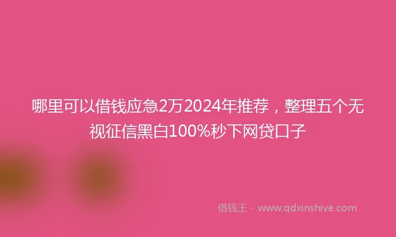 哪里可以借钱应急2万2024年推荐，整理五个无视征信黑白100%秒下网贷口子