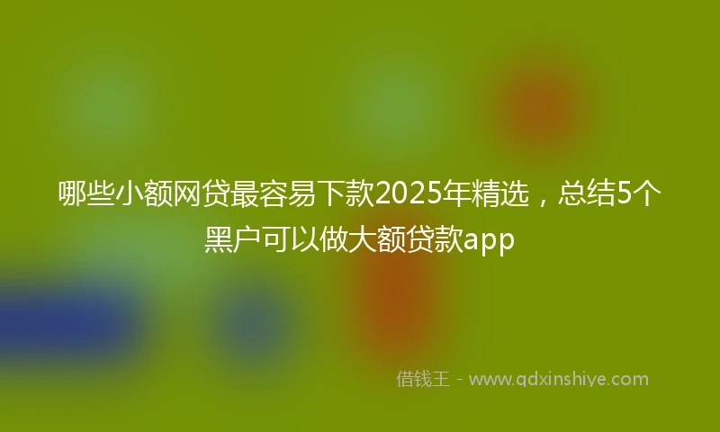 哪些小额网贷最容易下款2025年精选，总结5个黑户可以做大额贷款app