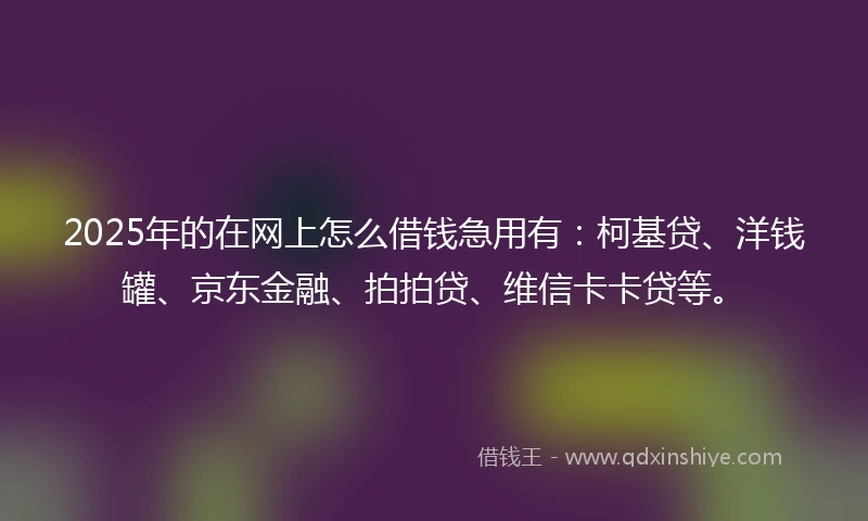 2025年的在网上怎么借钱急用有：柯基贷、洋钱罐、京东金融、拍拍贷、维信卡卡贷等。