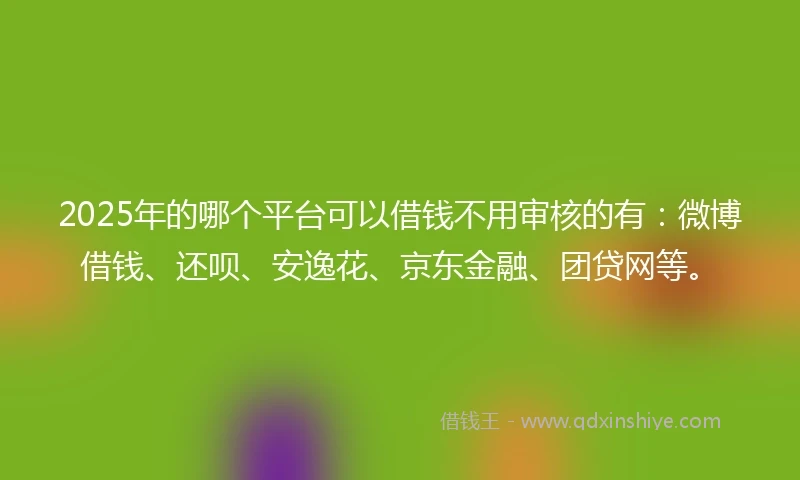 2025年的哪个平台可以借钱不用审核的有:微博借钱、还呗、安逸花、京东金融、团贷网等。