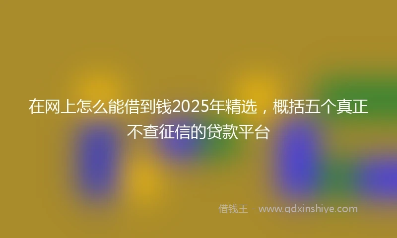 在网上怎么能借到钱2025年精选，概括五个真正不查征信的贷款平台
