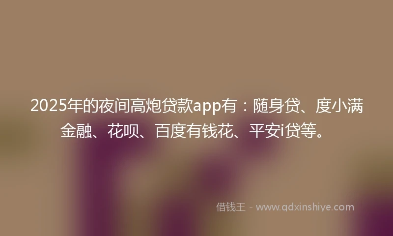 2025年的夜间高炮贷款app有：随身贷、度小满金融、花呗、百度有钱花、平安i贷等。