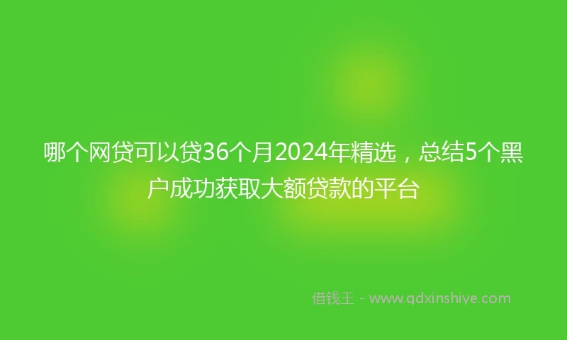 哪个网贷可以贷36个月2024年精选，总结5个黑户成功获取大额贷款的平台