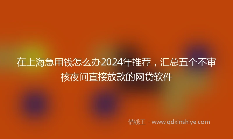 在上海急用钱怎么办2024年推荐，汇总五个不审核夜间直接放款的网贷软件