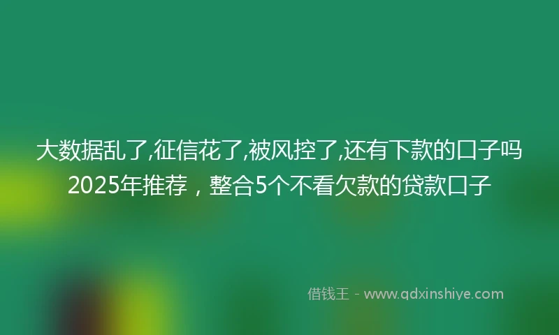 大数据乱了,征信花了,被风控了,还有下款的口子吗2025年推荐，整合5个不看欠款的贷款口子