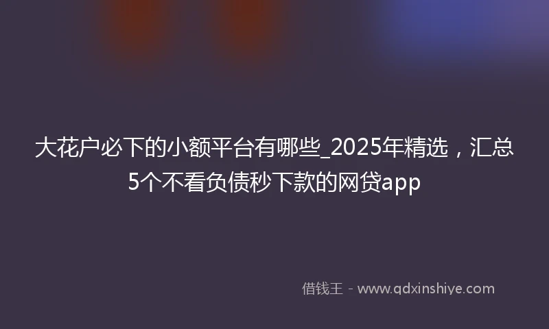 大花户必下的小额平台有哪些_2025年精选，汇总5个不看负债秒下款的网贷app