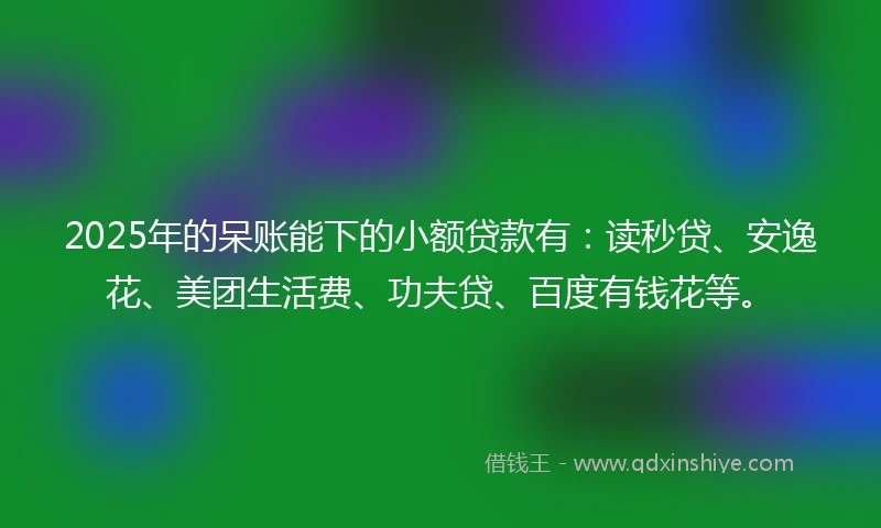 2025年的呆账能下的小额贷款有：读秒贷、安逸花、美团生活费、功夫贷、百度有钱花等。