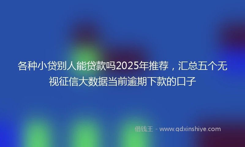 各种小贷别人能贷款吗2025年推荐，汇总五个无视征信大数据当前逾期下款的口子