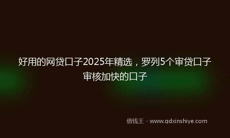 好用的网贷口子2025年精选，罗列5个审贷口子审核加快的口子