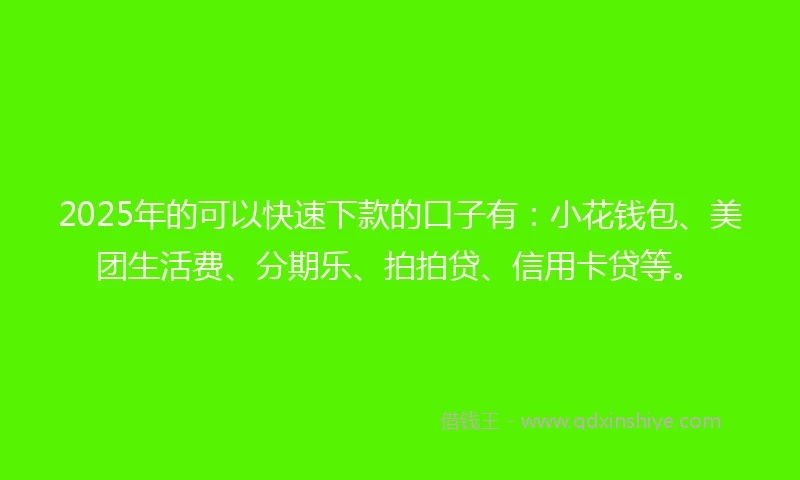 2025年的可以快速下款的口子有：小花钱包、美团生活费、分期乐、拍拍贷、信用卡贷等。
