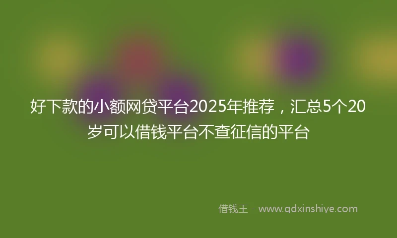 好下款的小额网贷平台2025年推荐，汇总5个20岁可以借钱平台不查征信的平台