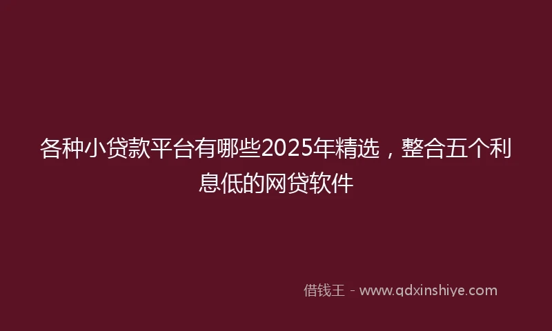 各种小贷款平台有哪些2025年精选，整合五个利息低的网贷软件
