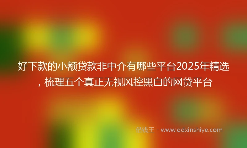 好下款的小额贷款非中介有哪些平台2025年精选，梳理五个真正无视风控黑白的网贷平台