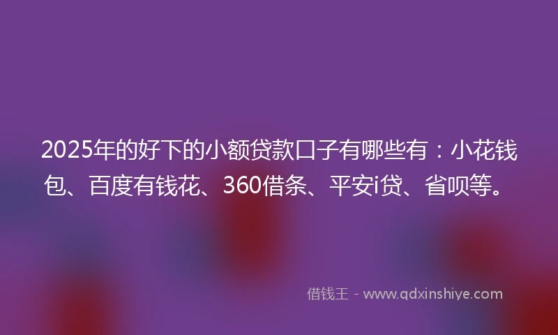 2025年的好下的小额贷款口子有哪些有：小花钱包、百度有钱花、360借条、平安i贷、省呗等。
