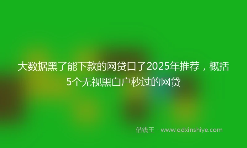 大数据黑了能下款的网贷口子2025年推荐，概括5个无视黑白户秒过的网贷