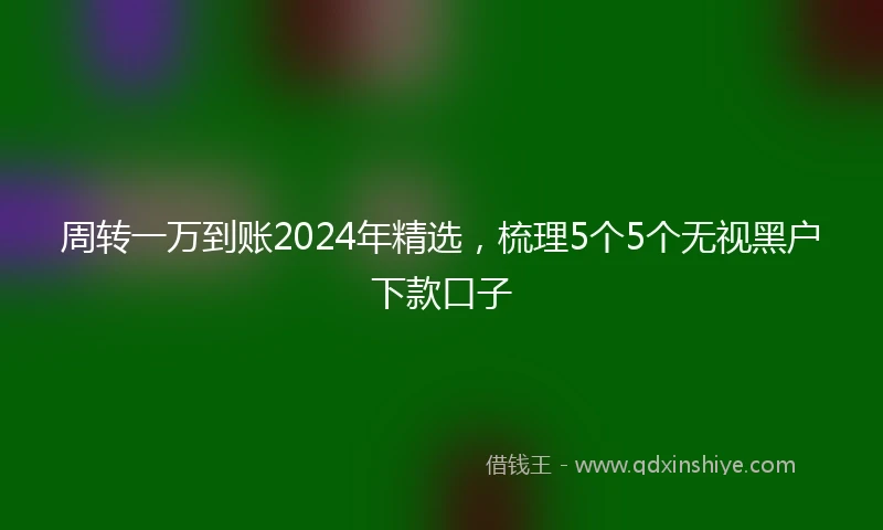 周转一万到账2024年精选,梳理5个5个无视黑户下款口子