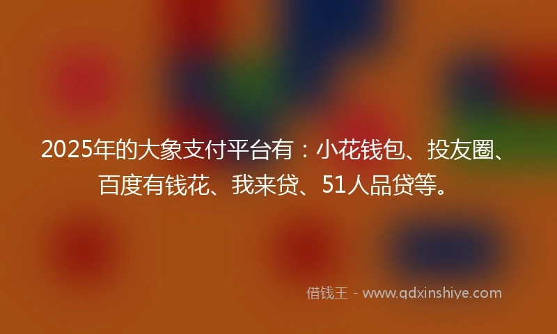 2025年的大象支付平台有：小花钱包、投友圈、百度有钱花、我来贷、51人品贷等。