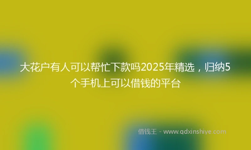 大花户有人可以帮忙下款吗2025年精选，归纳5个手机上可以借钱的平台