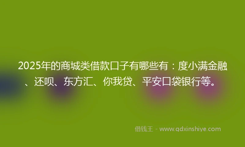 2025年的商城类借款口子有哪些有：度小满金融、还呗、东方汇、你我贷、平安口袋银行等。