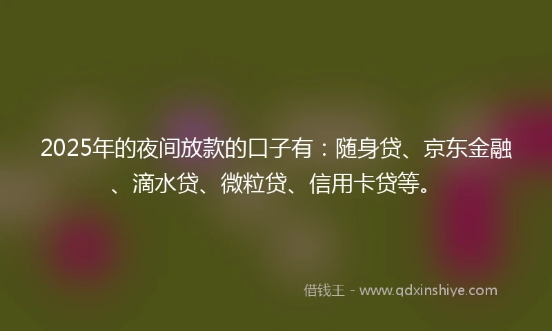 2025年的夜间放款的口子有：随身贷、京东金融、滴水贷、微粒贷、信用卡贷等。