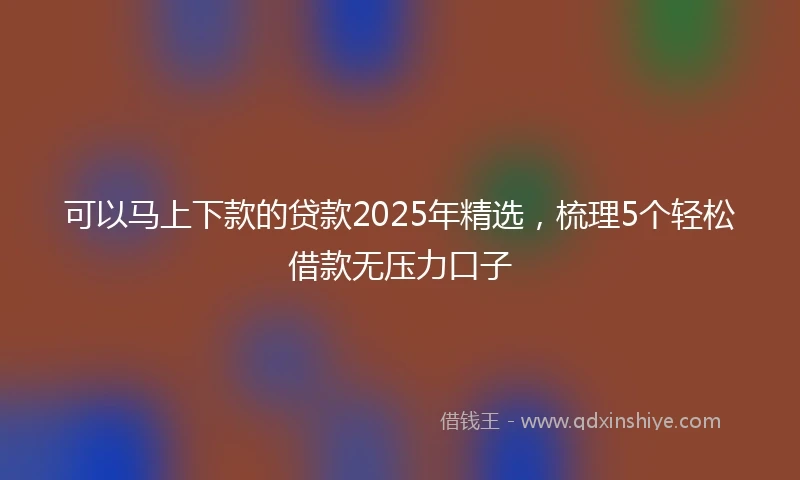 可以马上下款的贷款2025年精选,梳理5个轻松借款无压力口子