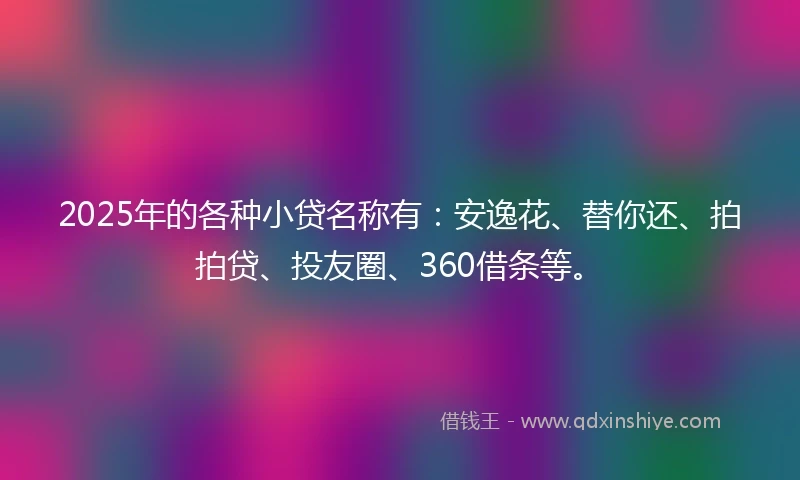 2025年的各种小贷名称有：安逸花、替你还、拍拍贷、投友圈、360借条等。