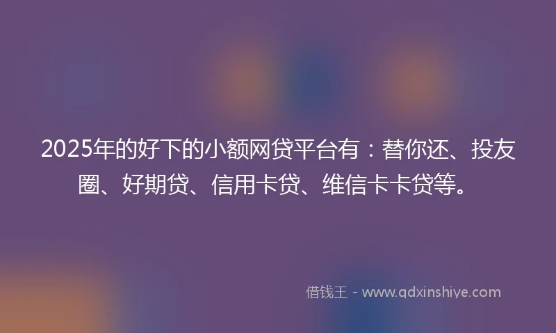 2025年的好下的小额网贷平台有：替你还、投友圈、好期贷、信用卡贷、维信卡卡贷等。