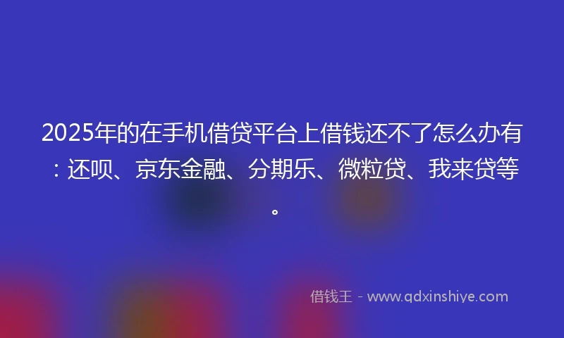 2025年的在手机借贷平台上借钱还不了怎么办有:还呗、京东金融、分期乐、微粒贷、我来贷等。