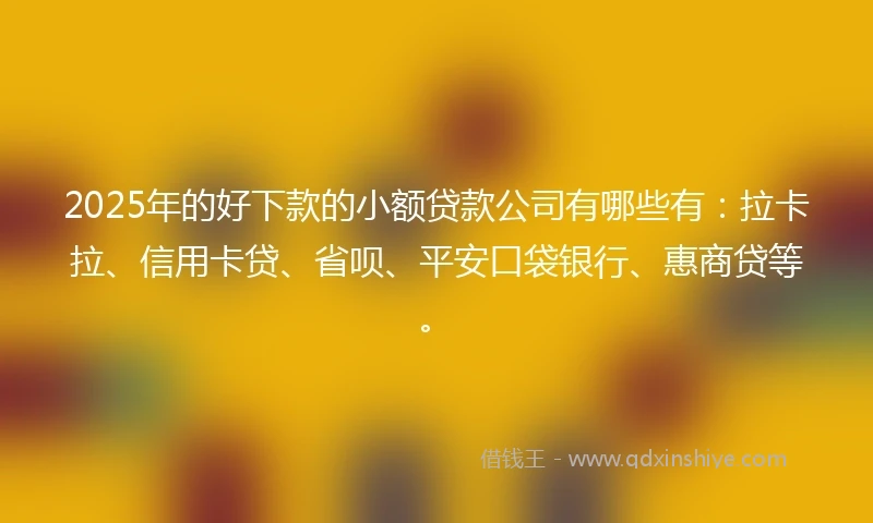 2025年的好下款的小额贷款公司有哪些有：拉卡拉、信用卡贷、省呗、平安口袋银行、惠商贷等。