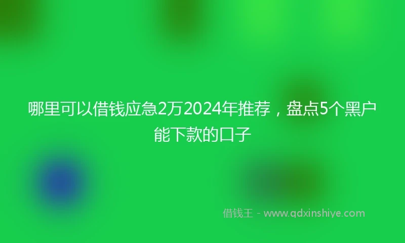 哪里可以借钱应急2万2024年推荐，盘点5个黑户能下款的口子