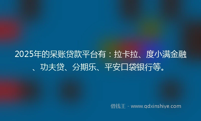 2025年的呆账贷款平台有：拉卡拉、度小满金融、功夫贷、分期乐、平安口袋银行等。