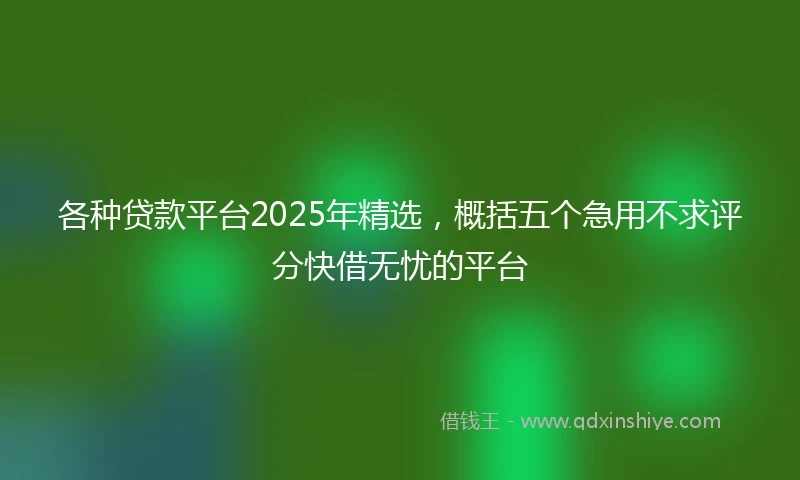 各种贷款平台2025年精选，概括五个急用不求评分快借无忧的平台