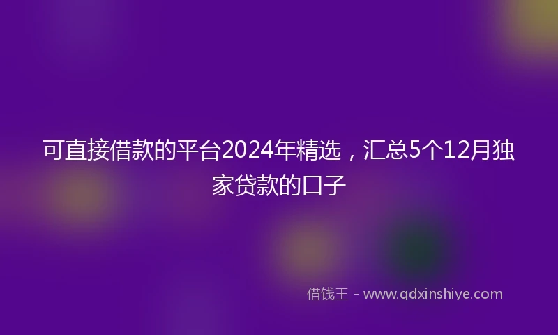 可直接借款的平台2024年精选,汇总5个12月独家贷款的口子