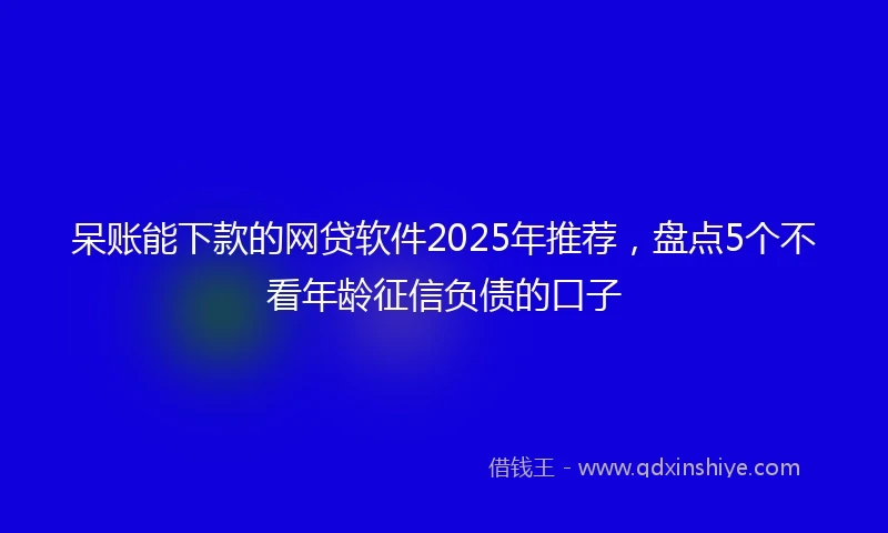 呆账能下款的网贷软件2025年推荐，盘点5个不看年龄征信负债的口子