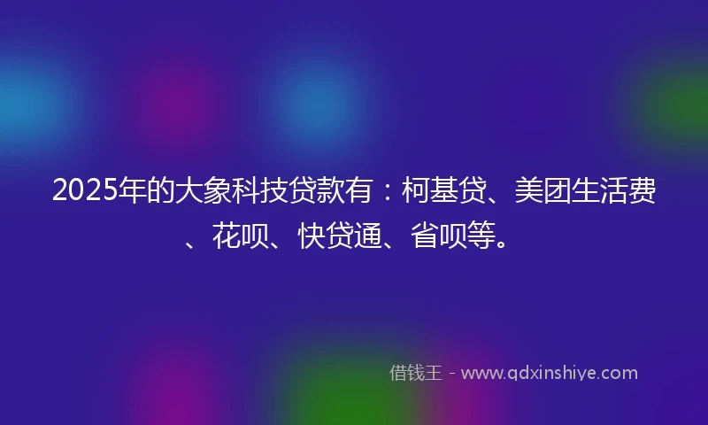 2025年的大象科技贷款有：柯基贷、美团生活费、花呗、快贷通、省呗等。