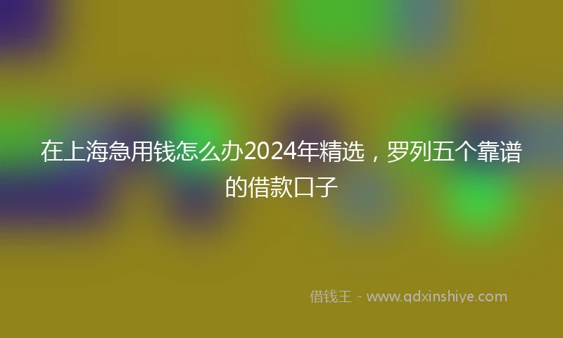 在上海急用钱怎么办2024年精选，罗列五个靠谱的借款口子