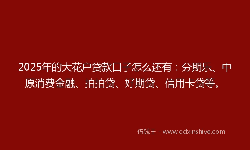 2025年的大花户贷款口子怎么还有：分期乐、中原消费金融、拍拍贷、好期贷、信用卡贷等。