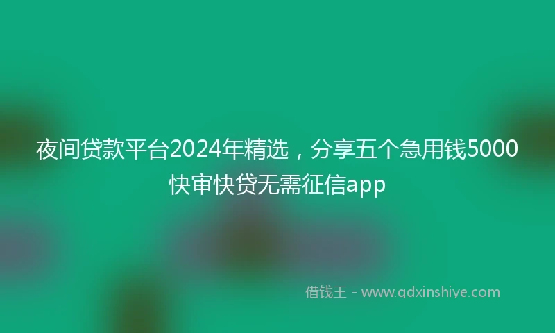 夜间贷款平台2024年精选，分享五个急用钱5000快审快贷无需征信app