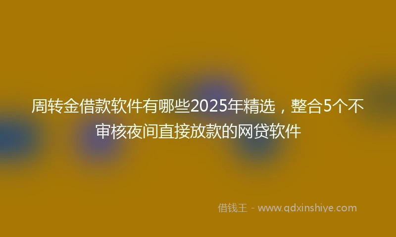 周转金借款软件有哪些2025年精选，整合5个不审核夜间直接放款的网贷软件