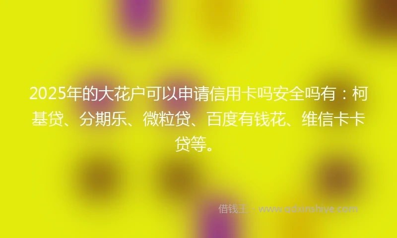 2025年的大花户可以申请信用卡吗安全吗有：柯基贷、分期乐、微粒贷、百度有钱花、维信卡卡贷等。